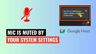 Your Mic is Muted by Your System Settings  Google Meet  2024 [upl. by Eelarat]