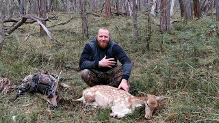 Fallow deer Hunt  March 2021 [upl. by Cedar]