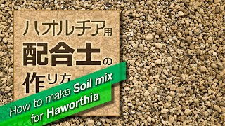 How to make soil mix for Haworthia／ハオルチア用配合土の作り方 [upl. by Perrine]