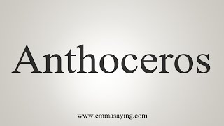 How To Say Anthoceros [upl. by Odrareve195]