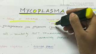 Mycoplasma  microbiology  handwritten notes [upl. by Tsepmet]