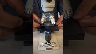 Observing stomata under a microscope 🔬 biology school science education scienceexperiment [upl. by Greeley]