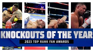 The 4 Best Knockouts of 2023  FIGHT HIGHLIGHTS [upl. by Alyag]