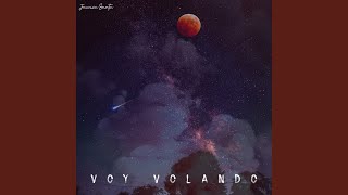 Voy Volando [upl. by Dirraj164]