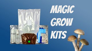 How to Grow Mushrooms from Start to Finish with a Magic Grow Kit  The Easiest Way to Grow Shrooms [upl. by Rangel92]