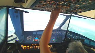 Overview Cockpit with Skalarki Moduls FCU  Overhead [upl. by Wini569]