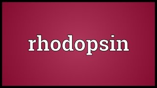 Rhodopsin Meaning [upl. by Mcloughlin]