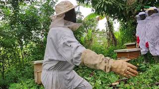 Formation en apiculture professionnelle [upl. by Enyamart]