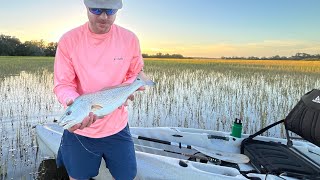 Redfish flyfishing Charleston SC floodtide [upl. by Chemesh]