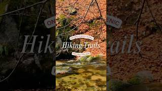 5 Fall Hikes in Ontario you cannot miss🍁 fallfoliage ontariofall fallhikes [upl. by Jedidiah738]