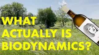 What is Biodynamic Wine  GUT OGGAU explains [upl. by Amling426]