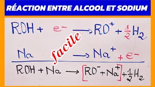 ALCOOL RÉACTION [upl. by Ahto]