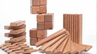 The Tegu Story Magnetic Wooden Toys to Change a Nation [upl. by Boeschen]