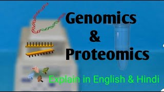 Genomics and Proteomics and its types  explain in english and Hindi [upl. by Ajed]