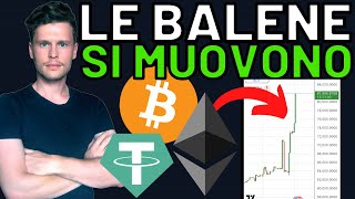 💣😳 LE BALENE SI STANNO MUOVENDO ORA 😳💣 MORNING wCRYPTO BITCOIN  ALTCOINS time sensitive [upl. by Ainuj]