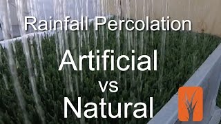 Artificial Grass vs Natural Grass  Percolation Rates [upl. by Thomas]