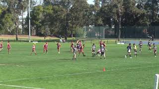 Wenties vs Guildford Owls U10s  Div 1 [upl. by Heng]