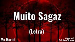 Muito Sagaz  Mc Hariel Letra [upl. by Finella]