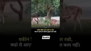 MayarabetiDosto jara dhyan se video ko last tak dekhejaise karm krogeBaisa he phal prapt hoga💞💓 [upl. by Nerrag27]