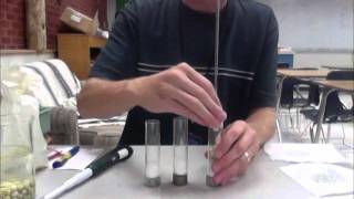 Cellular Respiration Lab Walkthrough [upl. by Guillermo]