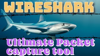 Wireshark 101 A must have tool for Network Engineers [upl. by Trixie943]