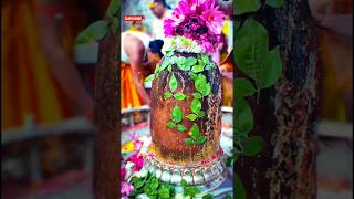 har har shambhu❣️🕉🙏maha shivling video 🔥🥀🙏shortviraltrendingreelsshortvideo [upl. by Layton615]