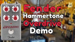 Is The Fender Hammertone Overdrive Versatile [upl. by Hanafee]