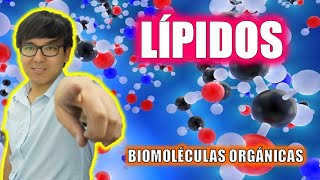 BIOLOGÍA FREE   LÍPIDOS  BIOMOLÉCULAS ORGÁNICAS 👉😍🌿 [upl. by Charlotte]