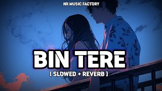 Bin Tere  Slowed  Reverb   Rakulpreet Singh ❤️ Jackky Bhagnani  NR Music Factory [upl. by Gefen446]