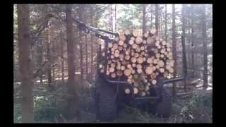 Malwa 460 Forwarder  In Thinning [upl. by Angelique]