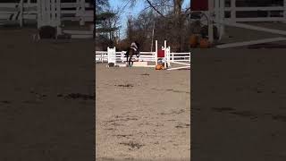 Montego was soooo perfect for my lesson today [upl. by Anthea]