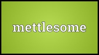 Mettlesome Meaning [upl. by Nodnar]