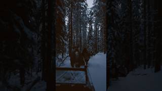 This REINDEER SLEIGH RIDE is so CALMING sleighride winterholiday lapland finland reindeer [upl. by Gadmon]