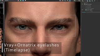 056 VRayOrnatrix for 3ds Max  haireyelashes workflow [upl. by Yrahk]