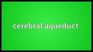 Cerebral aqueduct Meaning [upl. by Buffy]