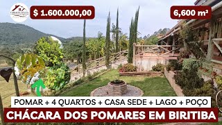 Chácara dos Pomares 6600 m² R 16 mi em Biritiba Mirim SP chácara investimento [upl. by Warp]