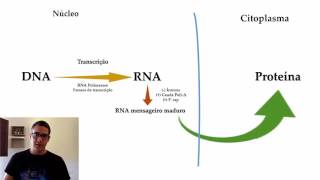 Introdução à Biologia Molecular 01  Dogma Central da Biologia [upl. by Shirley]