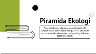 Piramida Ekologi disertai Contoh Soal piramida piramide ecology biology ecosystem materi [upl. by Harod545]