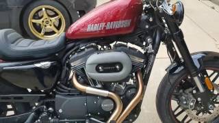 Sportster 1200 Bassani Road Rage 3 [upl. by Puett]