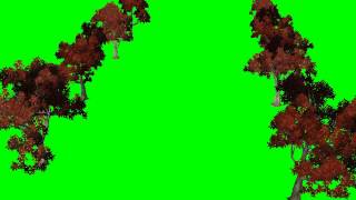 tree avenue moved by wind  green screen effect [upl. by Eterg]