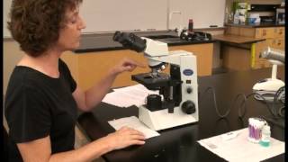 Microscope Tutorial  Detailed Version [upl. by Adnolohs293]