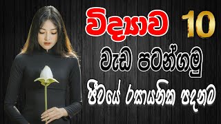 Grade 10 Science  10 විද්‍යාව  1 පාඩම  ජීවයේ රසායනික පදනම  Jeevaye Rasayanika Padanama 🐘🐇🐤🐠🏝️🌻 [upl. by Ahseele]