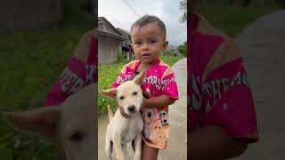 videoshorts funny dogfood pets beby petfood bebycute cute ❤️🤭❤️ [upl. by Arhoz]