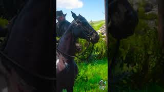 Hypocrite 😵‍💫rdr2 gameplay shorts [upl. by Nemzaj423]