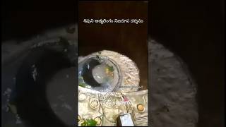 Koti SamaVaram 🙏youtubeshorts shiva gokarna mahadev mahabaleshwar bhakti viralshort [upl. by Zetroc]