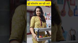 चुहे कॉकरोच कीडें कभी नही आएगे Habits Of Clean Home hacks kitchen home kitchenhacks house tips [upl. by Carolee]