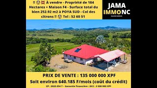 ‼️ 🤯💥 À vendre une très belle propriété de 184 Hectares  une maison F4 en dur à POYA SUD ‼️ [upl. by Eibber]