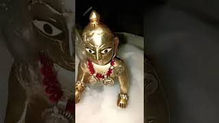 Laddu Gopal ka hua dudh se snan 🥰🙏🛁🛁 [upl. by Ahsoym731]