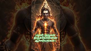 பழனி முருகன் திருக்கோவிலின் ஆச்சரியங்கள் facts murugan palani muruga bogar tamil history [upl. by Llerrud]