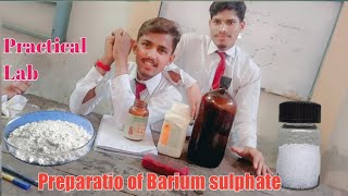 Preparation of Barium solphate [upl. by Cockburn]